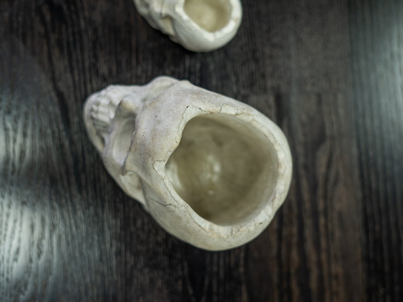 Concrete Skull: Large