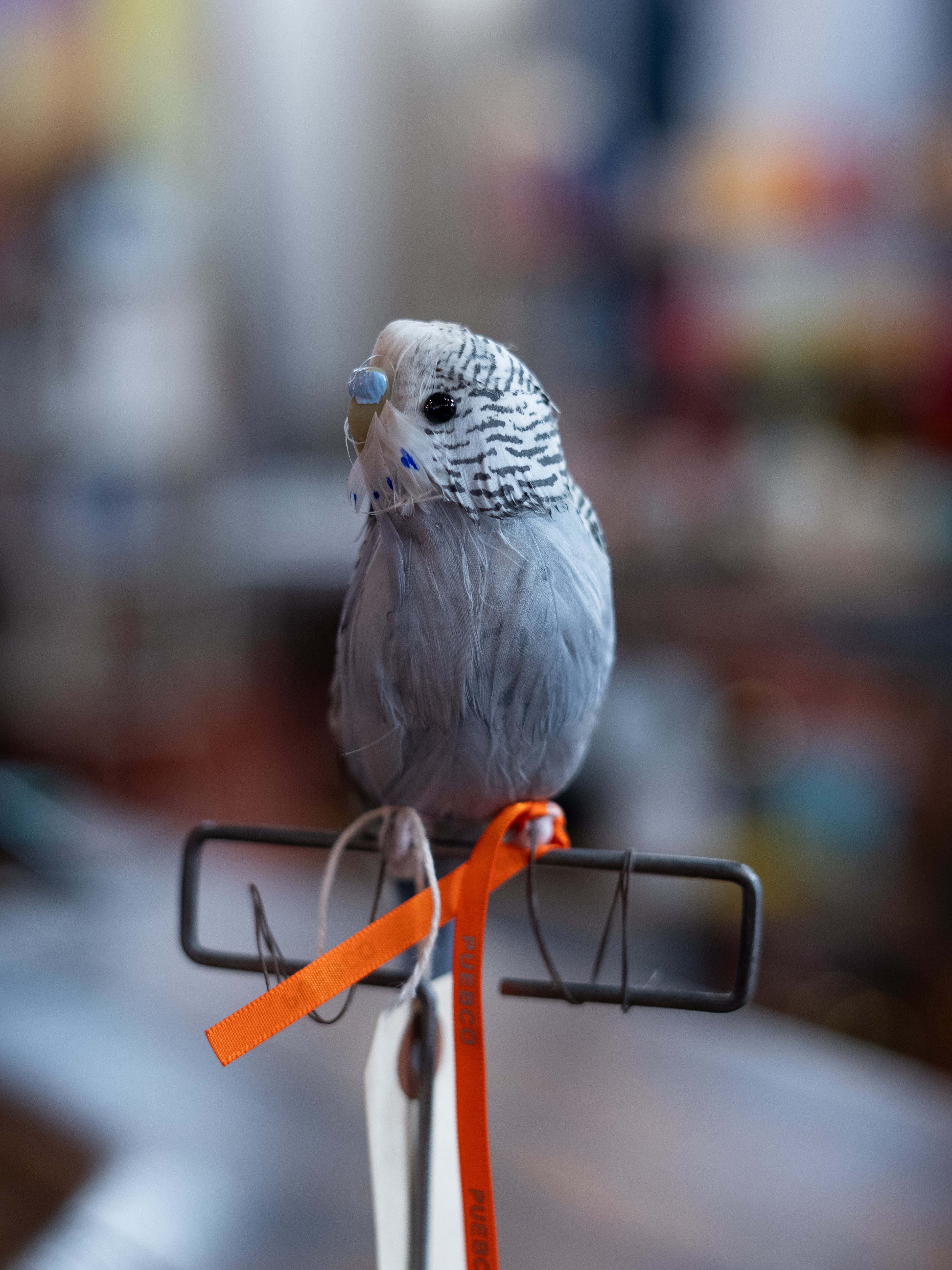 Artificial Birds: Gray Budgie