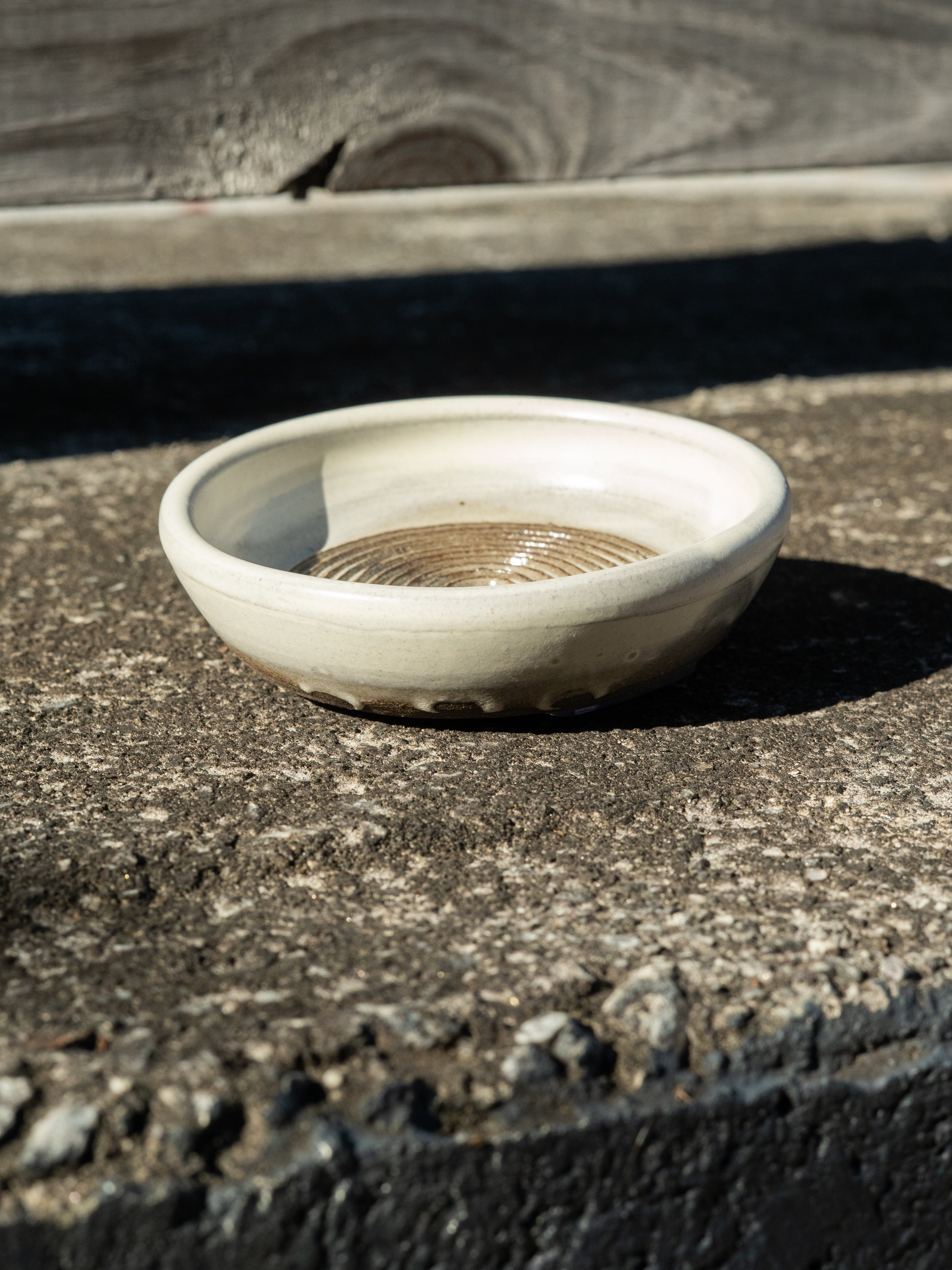 Garlic Grater: White