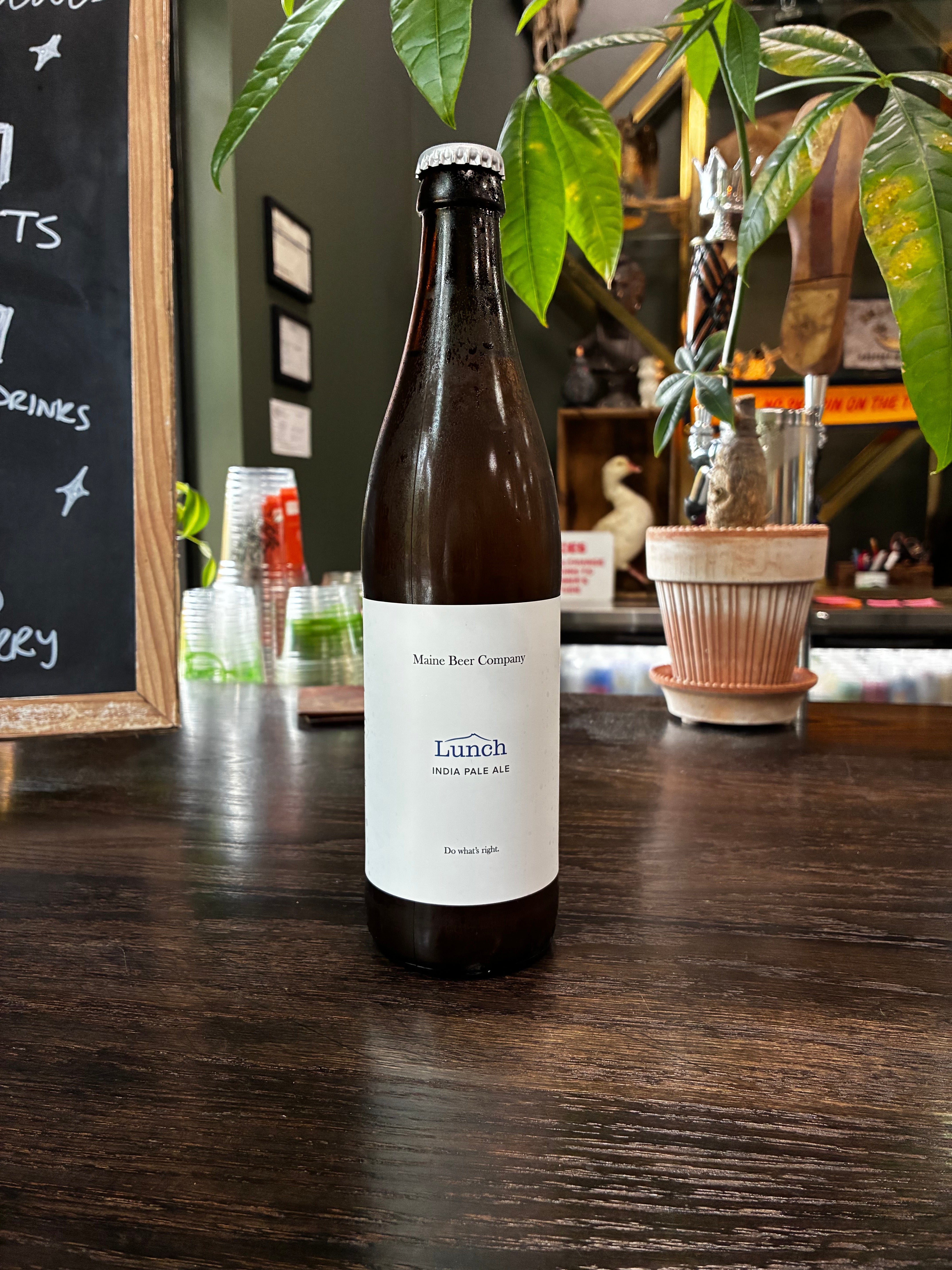 Lunch Indian Pale Ale (1P Single)