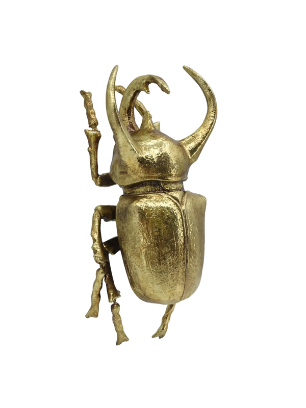 Gold Rhino Beetle Wall Decor: Small