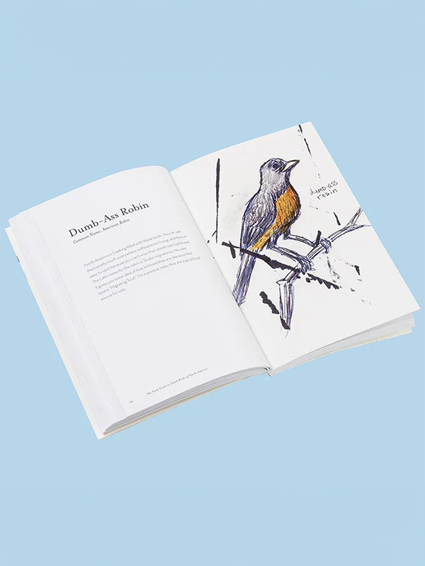 The Field Guide to Dumb Birds of America