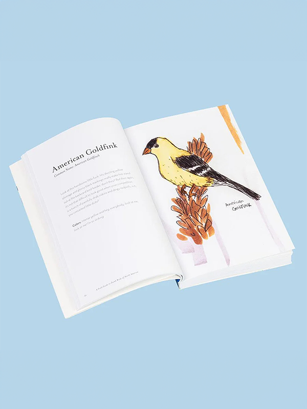 The Field Guide to Dumb Birds of America