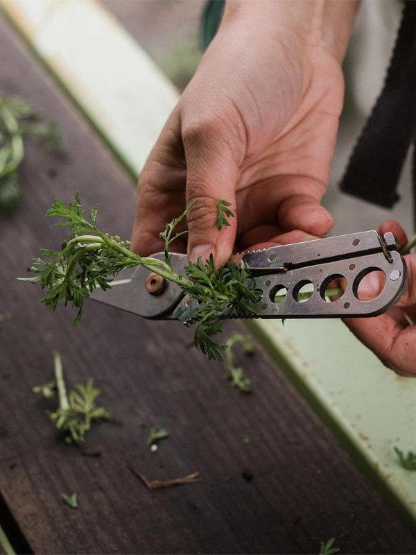 Herb Harvest & Strip Tool: Tumbled Steel