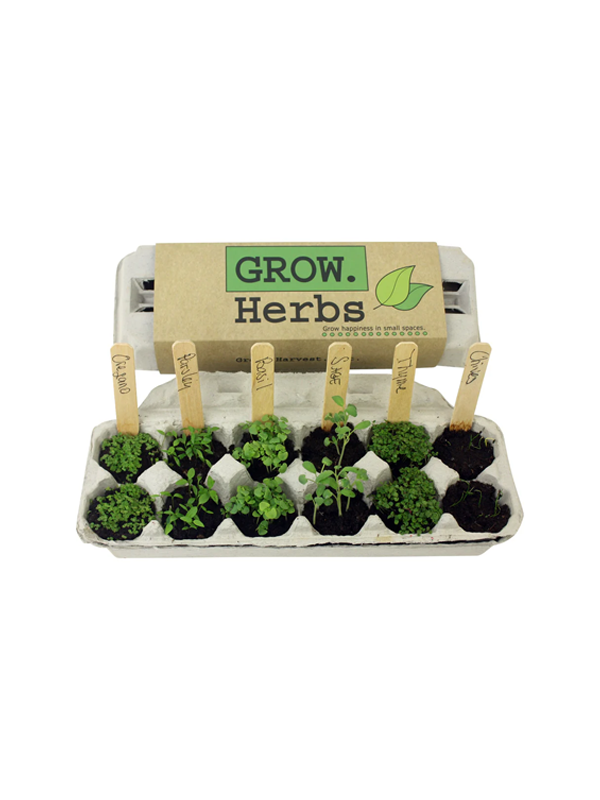 Herb Garden Grow Kit