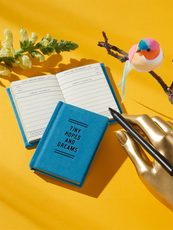 Brass Monkey Tiny Hopes And Dreams Diary