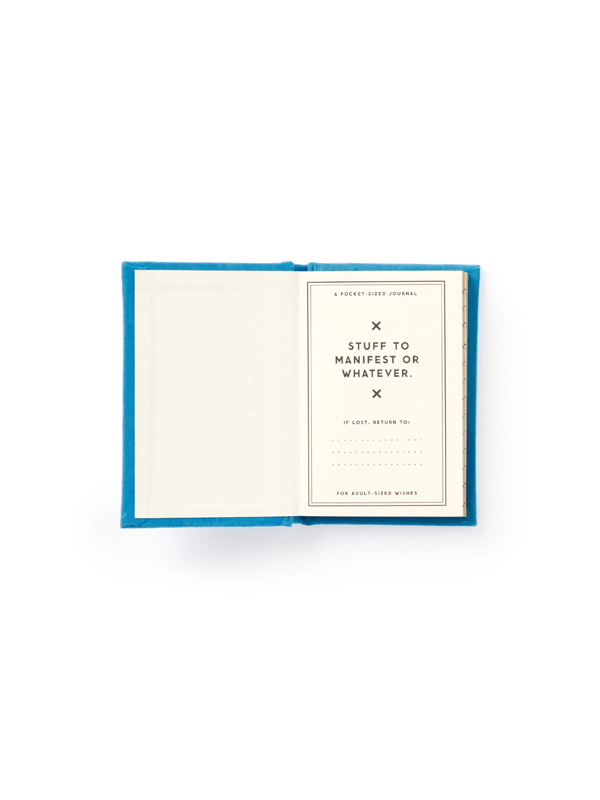 Brass Monkey Tiny Hopes And Dreams Diary