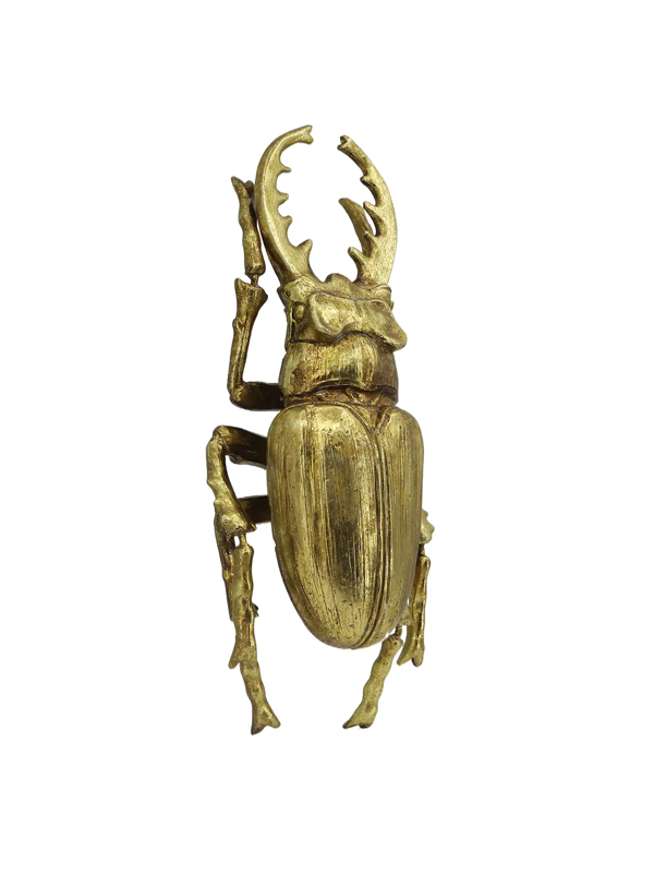 Gold Stag Beetle Wall Decor: Small