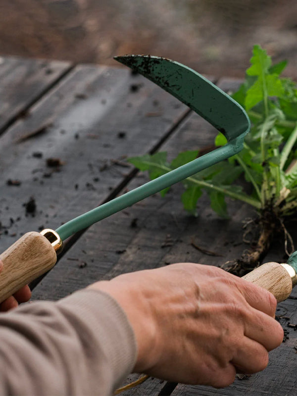 Japanese Weeding Hoe: Ash/Mint