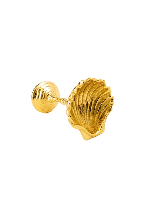Shell Cordial: Brass