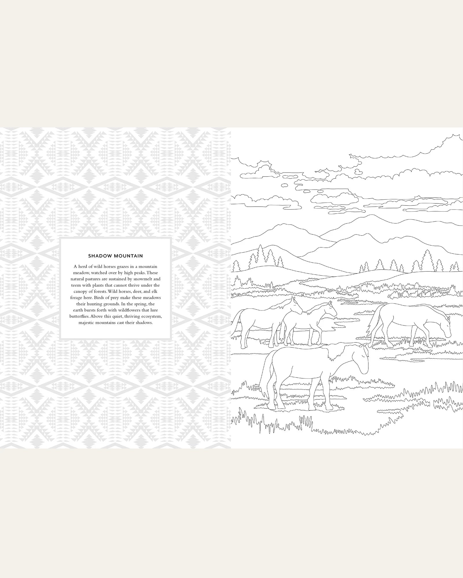 Pendleton Coloring Book