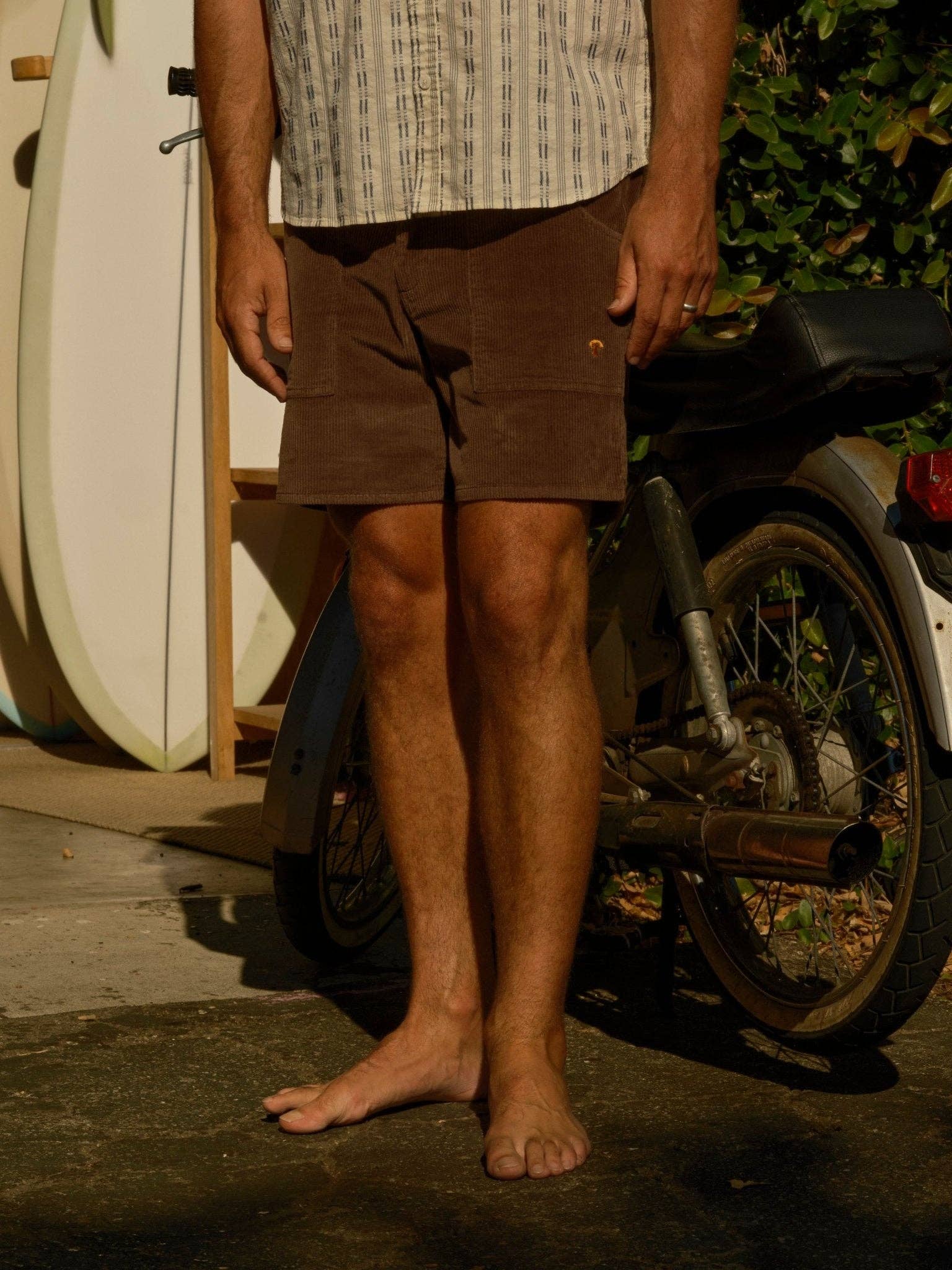 Shroom Shorts: Chocolate