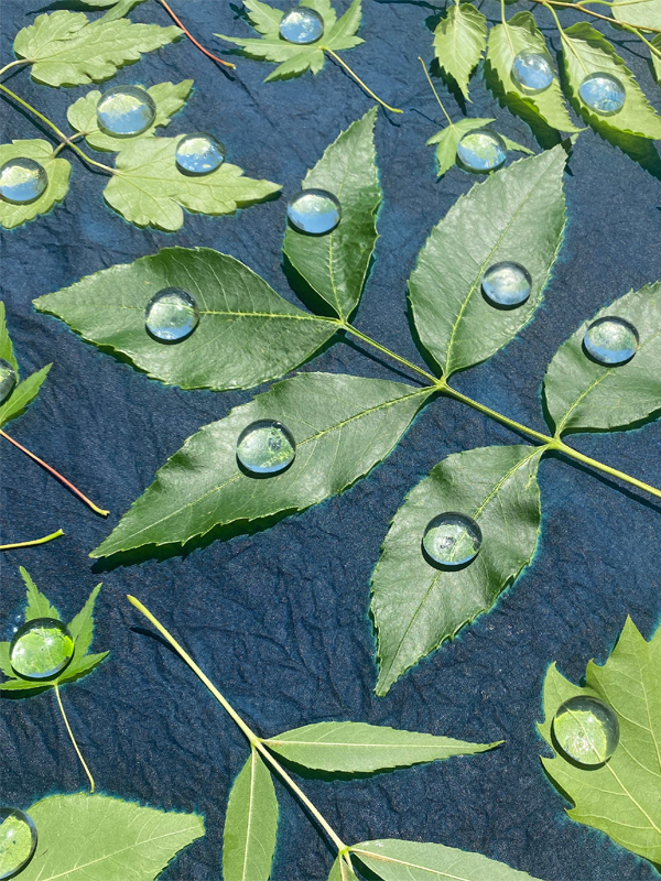 DIY Kit: Cyanotype Bandana