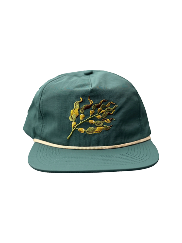 Kelp Hat