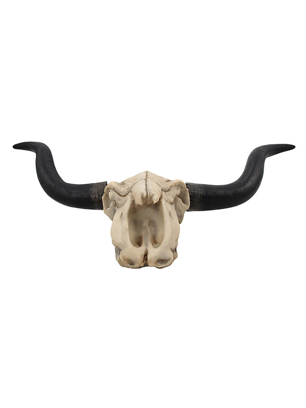 27.5" Longhorn Skull Wall Mount