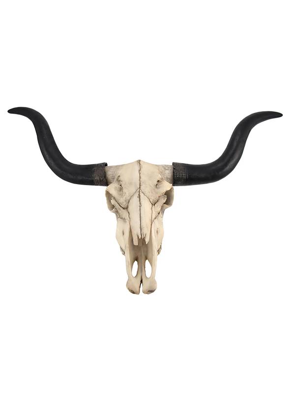 27.5" Longhorn Skull Wall Mount
