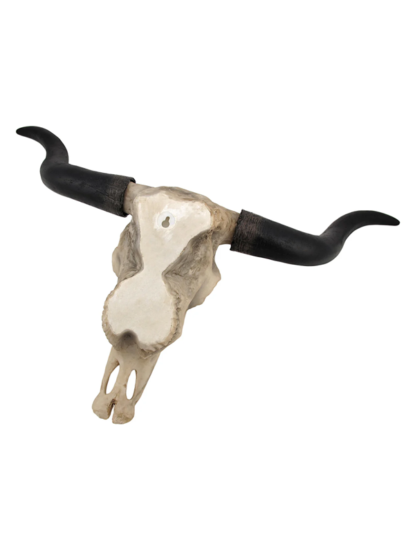 27.5" Longhorn Skull Wall Mount