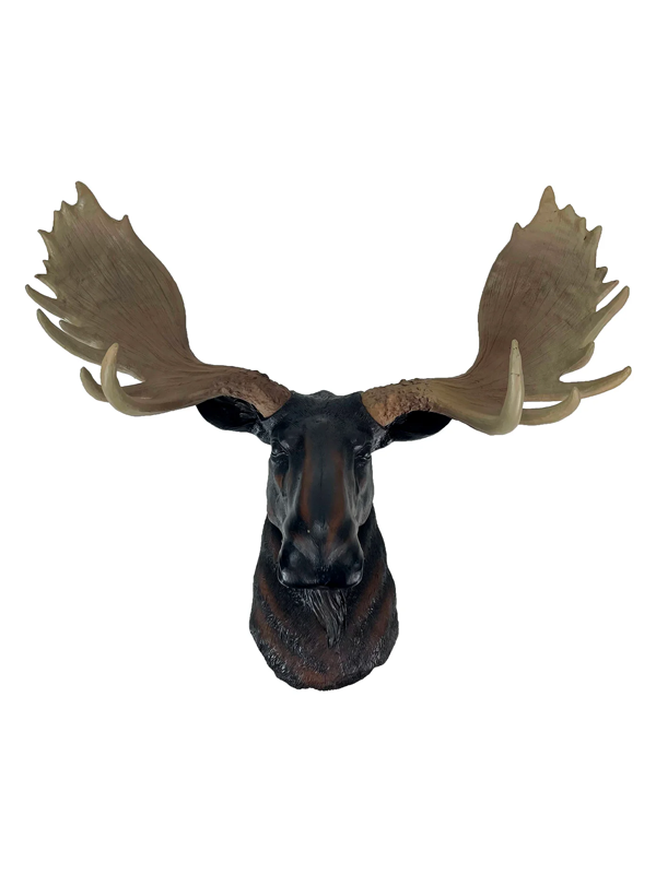 North American Moose Head Wall Mount