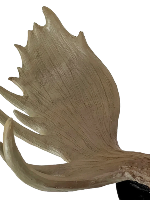 North American Moose Head Wall Mount