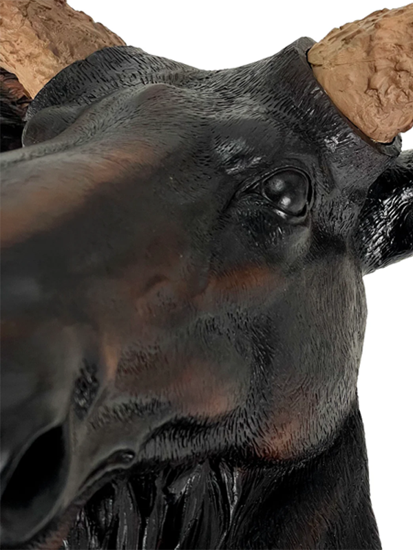 North American Moose Head Wall Mount